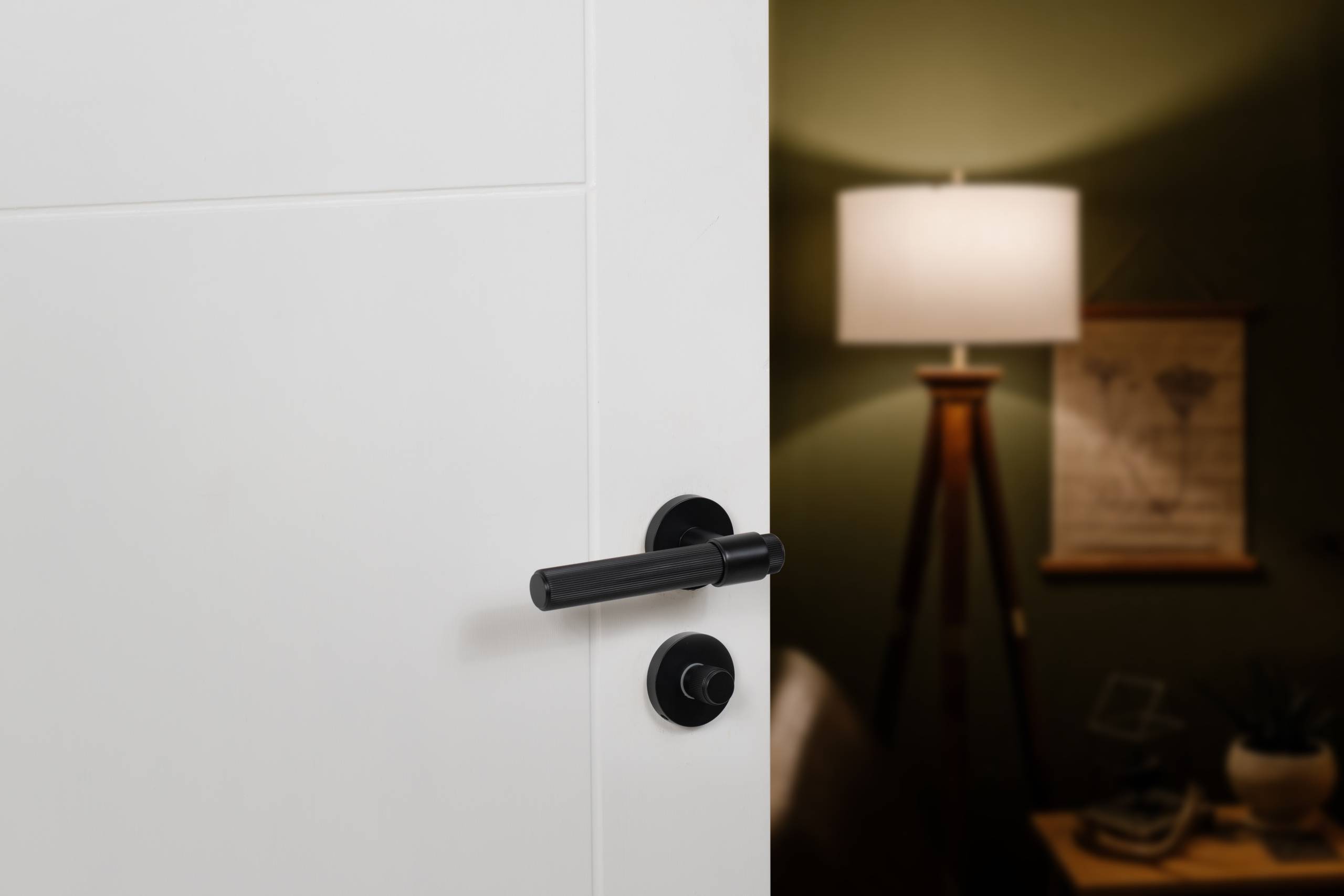 Door Handles