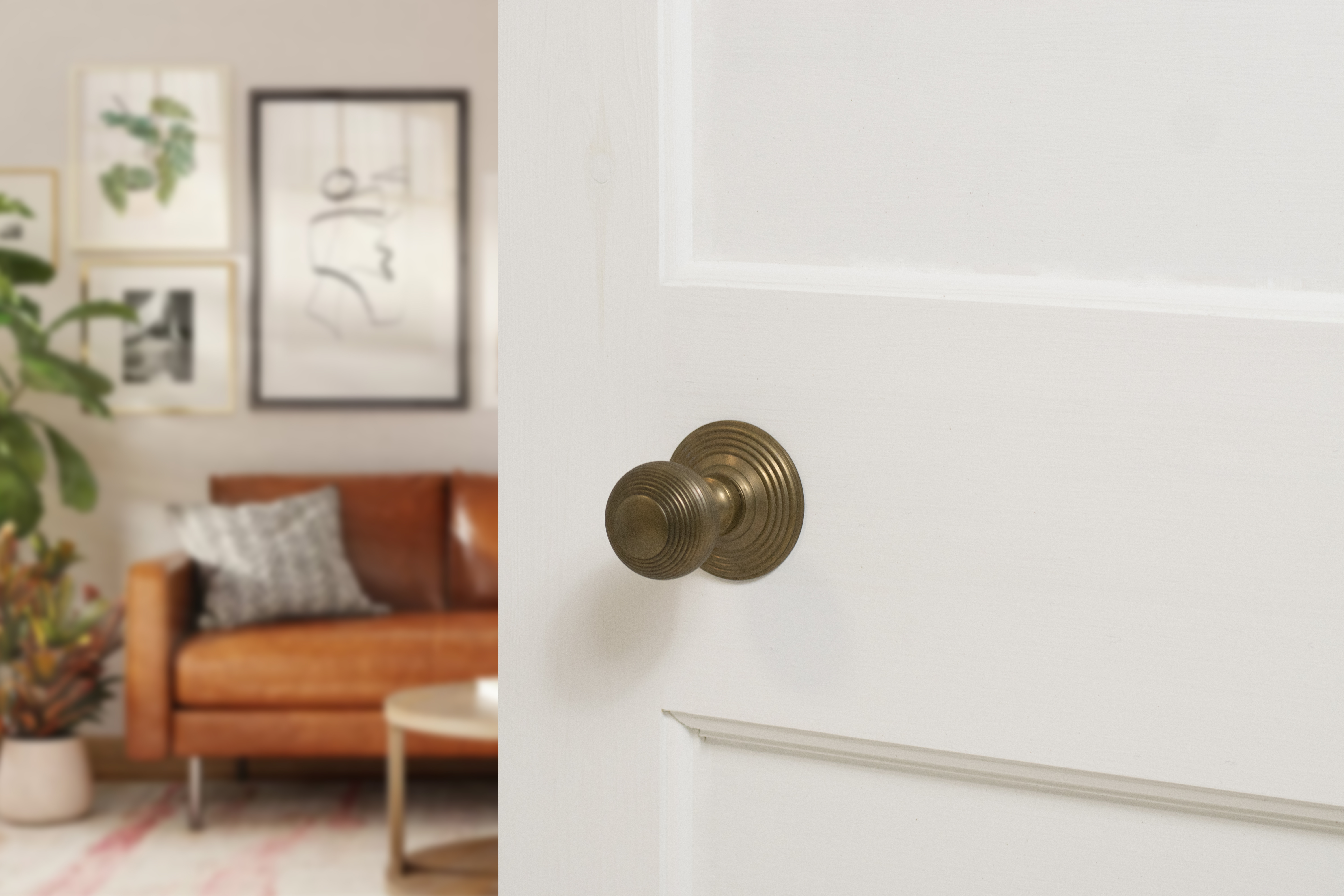 Door Knobs