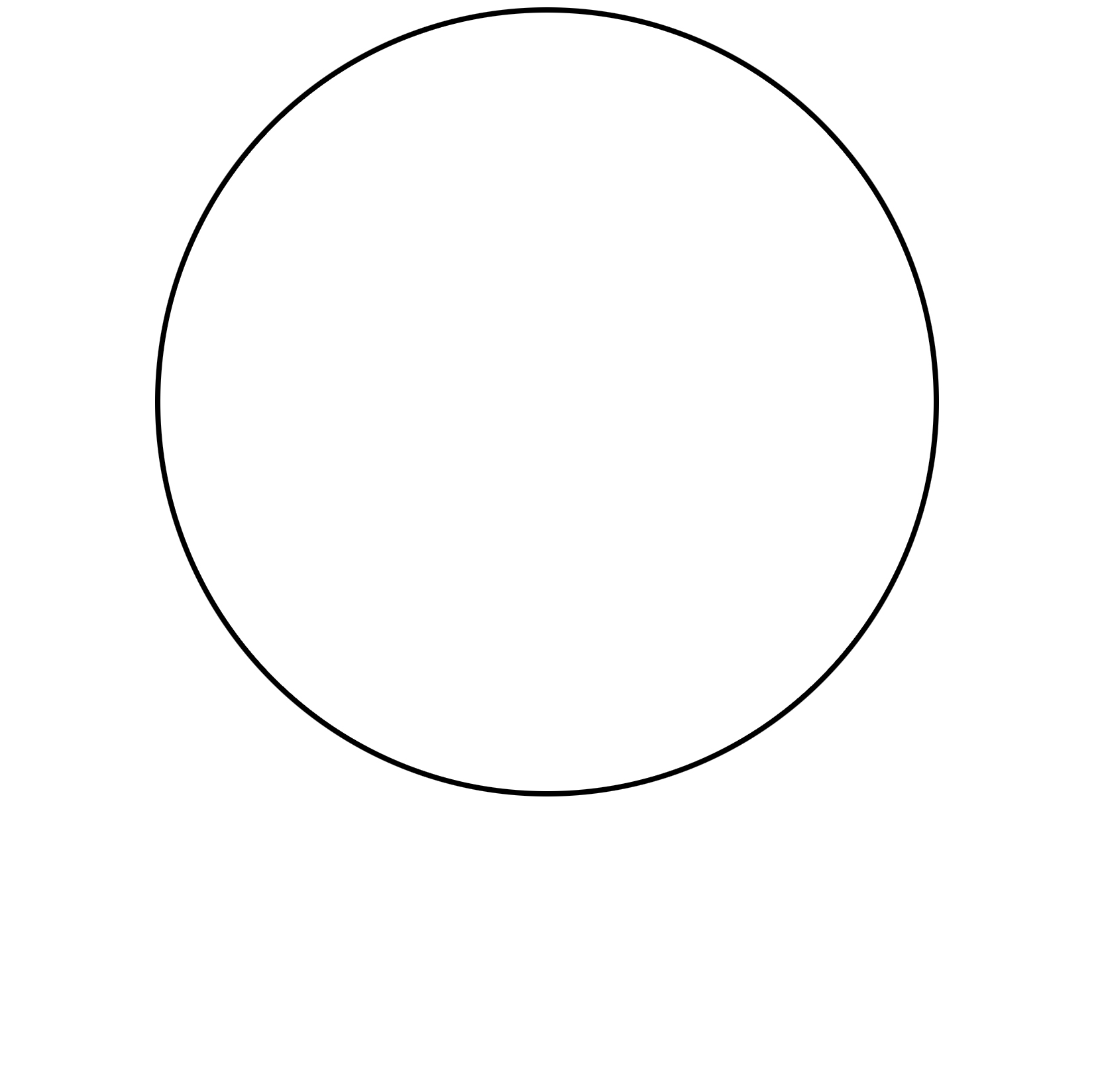 White (WH)